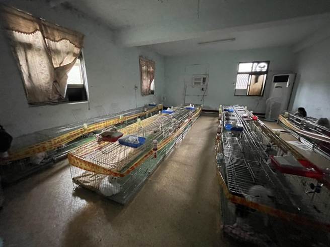 新北市新庄区思源路87巷铁皮工厂被揭发是非法养殖场，动保处今前往视察发现多数犬只已被转移至苗栗，且多被割除声带，后续将对饲主开罚114万8000元罚缓。（新北市动保处提供）