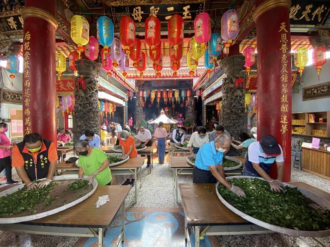 在山上天后宫玉二圣母监制下，眾人专注手工揉茶。(曹婷婷摄)