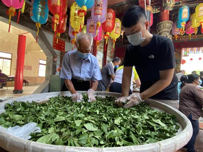 在山上天后宫玉二圣母监制下，眾人专注手工揉茶。(曹婷婷摄)