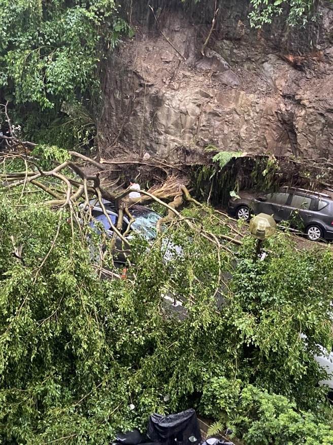 基隆安樂區樂利二街62巷有邊坡滑動，路樹、土石崩落。（翻攝照片／陳彩玲基隆傳真）