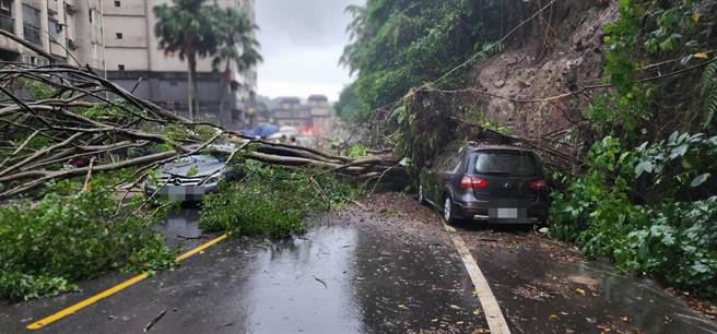 基隆安樂區樂利二街62巷有邊坡滑動，路樹、土石崩落。（翻攝照片／陳彩玲基隆傳真）