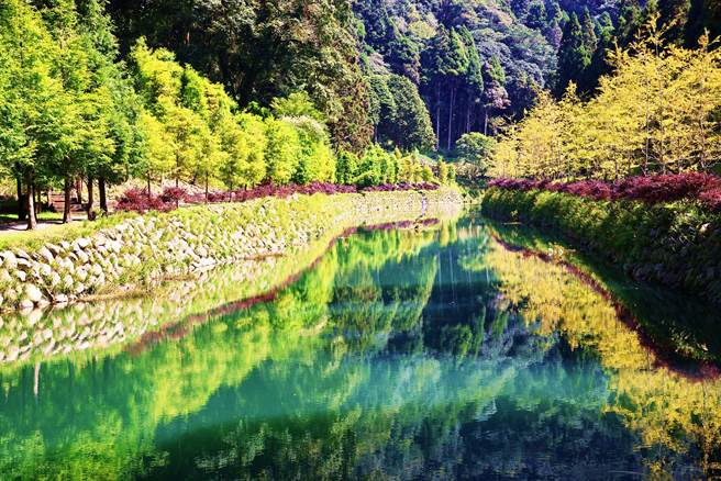 杉林溪「状元红」引来鸟类，也吸引赏鸟人士。（杉林溪提供／廖志晃南投传真）