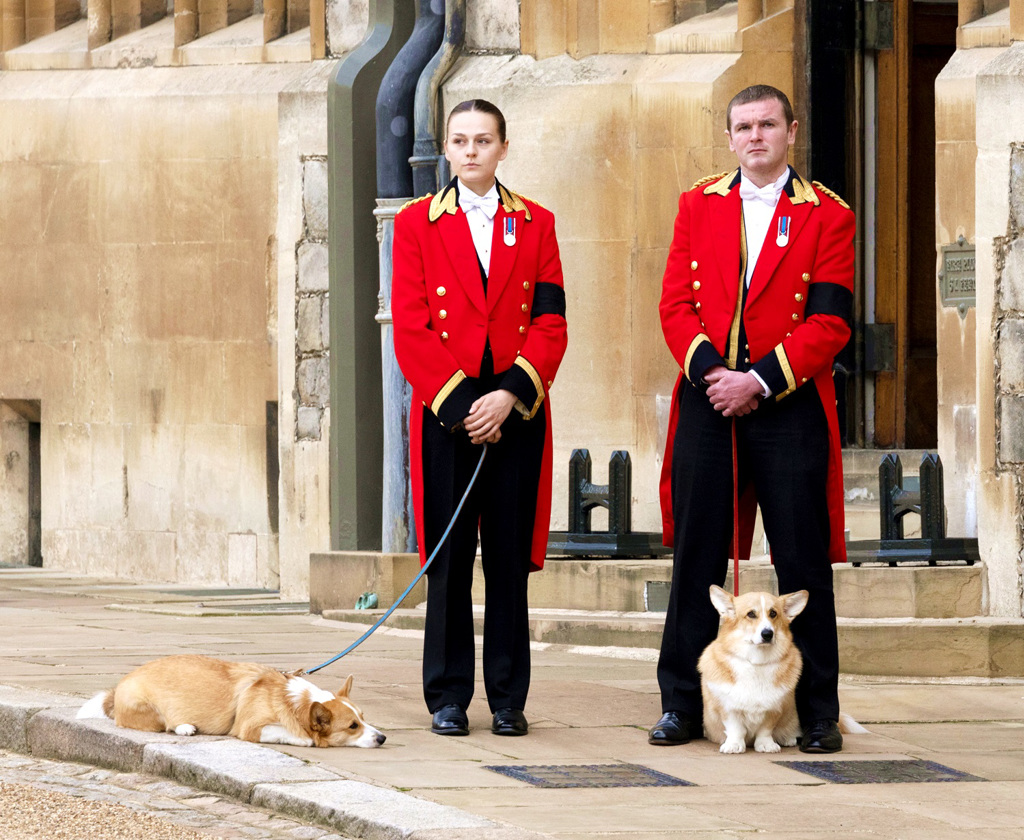 英國媒體指出，已故英國女王伊麗莎白二世（Queen Elizabeth II）8日辭世前，女王心愛的柯基犬「穆伊克」（Muick）及「珊迪」（Sandy）也在病榻前陪伴。圖為19日穆伊克及珊迪在溫莎城堡向女王道別。（圖／TPG、達志影像）