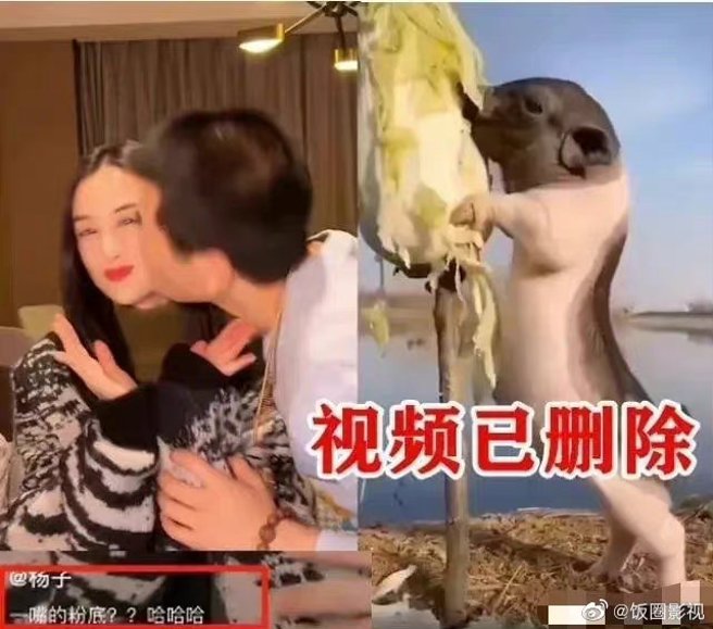 楊子删光與黃聖依昔日恩愛動態。(微博)