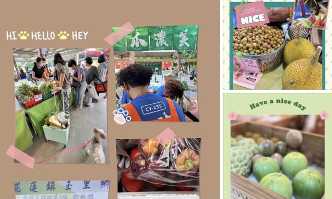 蔺奕》希望广场 来自玉里的阿伯