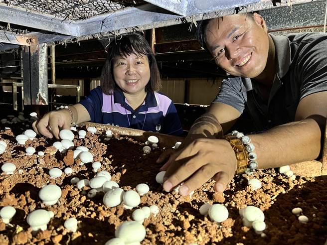 农会推广部青农指导员谢翠玲（左）说，林谷霖（右）投入洋菇产业付出很多辛劳，农会会持续帮助他扩大销售市场。（张毓翎摄）