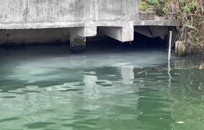 投诉人带记者走访日月潭，发现又有人偷排废水。（杨静茹摄）