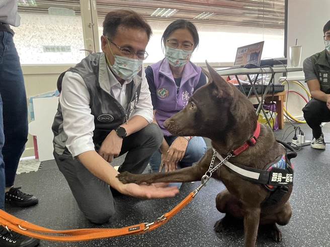 最新民调民进党桃园市长参选人郑运鹏领先国民党张善政3个百分点，郑运鹏竞办回应趋势符合预期。(吕筱蝉摄)