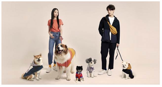 UNIQLO旧衣回收让毛小孩有机会能穿上主人的二手衣物。（UNIQLO提供）