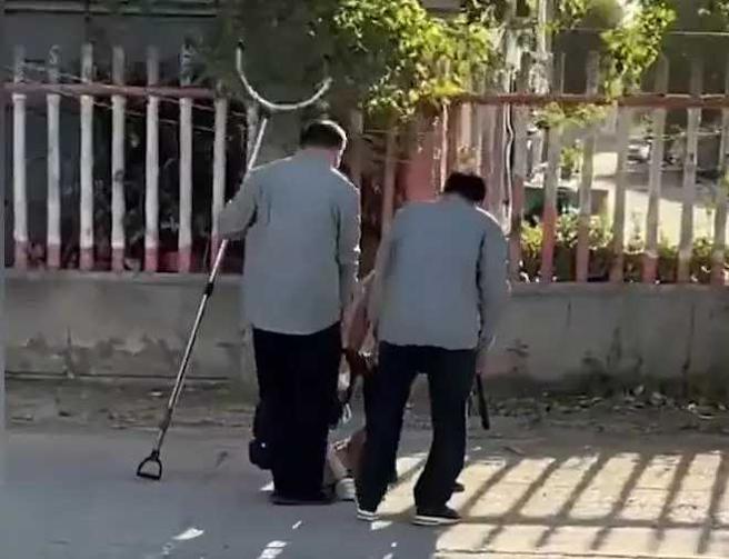 小学生不想上学，下秒遭架进校门。（图／翻摄自微博）