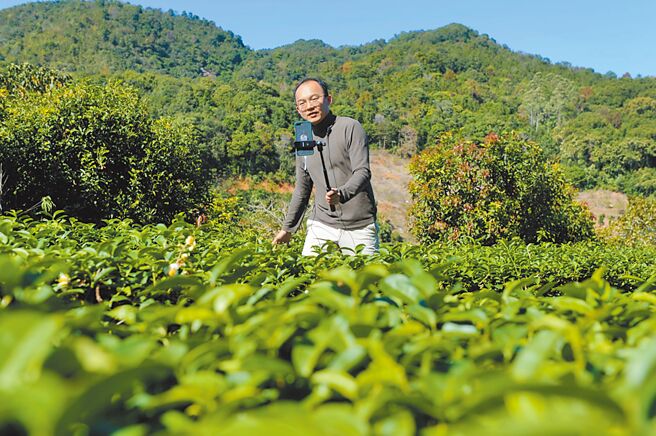 （图／作者提供）