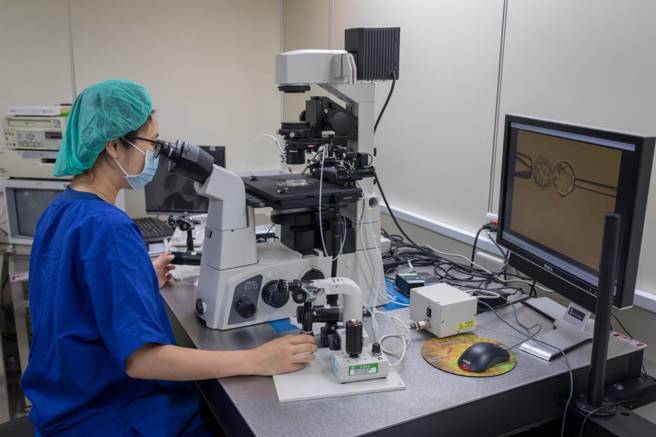医检师在显微镜下执行精子与卵子的受精作业(长庚医院提供)