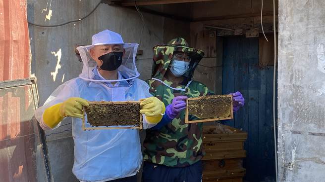 楊鎮浯穿上採蜜防護裝親自體驗採收蜂蜜的過程(于家麒攝)