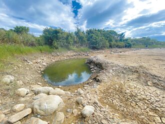 疑地震影響 池上溼地乾涸 衝擊生態