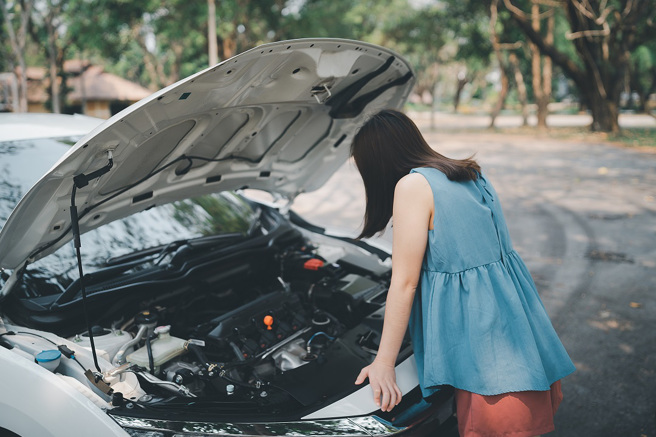 美国一名女网友度假7天返家后，掀开爱车的引擎盖，发现里面竟被松鼠塞满558颗核桃。(示意图/达志影像)