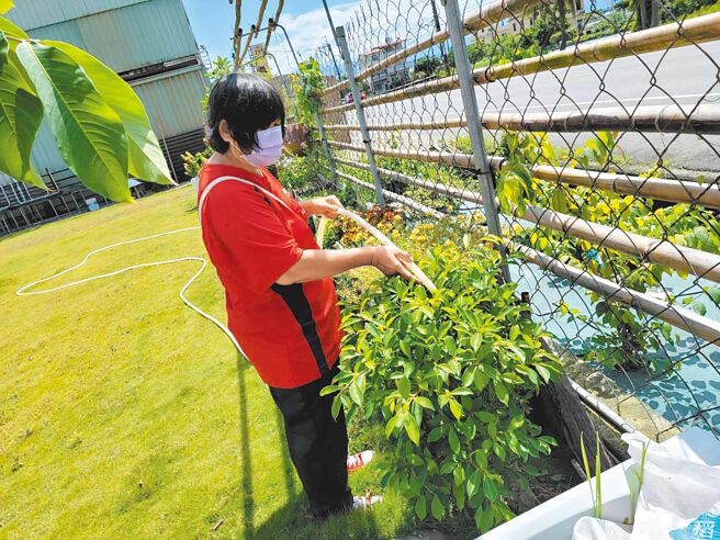 財團法人高雄市方舟就業服務協會理事長王姿琦說，安心上工的工作性質單純、壓力小，許多人要銜接到職場無法適應，不過安心上工也有正面發揮短暫就業的功效。（財團法人高雄市方舟就業服務協會提供／林雅惠傳真）