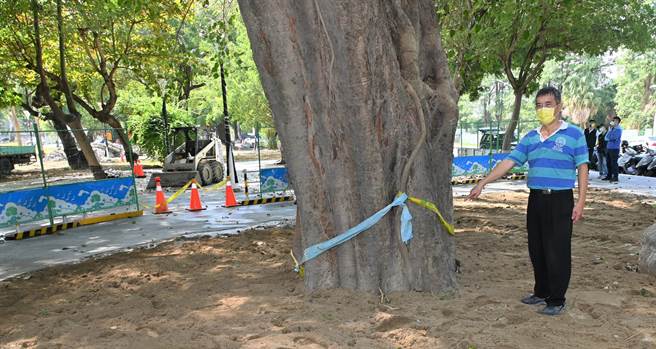 森林城市协会理事杨吉寿29日希望高雄市政府能善待老树。（林瑞益摄）