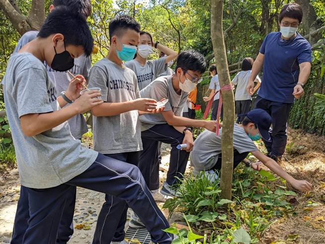 学生用水彩笔小心翼翼地将幼虫放在叶子上。（李奇叡摄）