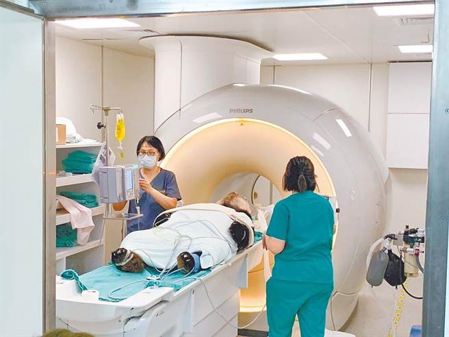 台北市立动物园的大猫熊「团团」接受脑部MRI（磁振造影）检查，发现有病变。（动物园提供）