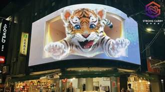 3D廣告牆士林夜市也看得到 「士林萌虎」吸引疫後觀光潮