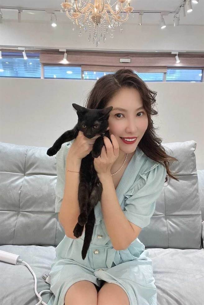 李小姐細心照料小黑貓，讓他術後復元良好，也順利被認養。（新北市動保處提供）