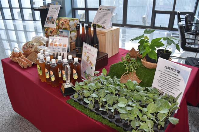 合兴种苗场培育出许多优良的农作物种苗。（谢明俊摄）