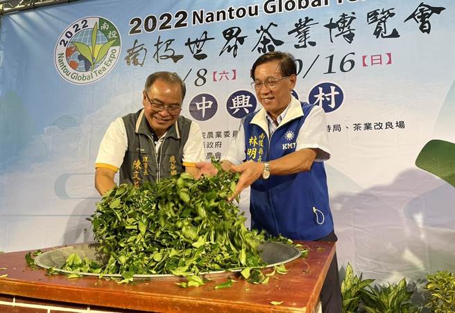 南投县长林明溱、鹿谷乡农会理事长陈文益示范传统炒茶菁，邀大家双十连假来逛茶博。（杨静茹摄）