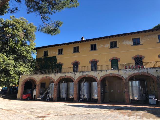 摇滚诗人史汀位于义大利的酒庄，他的录音室就在二楼，近年有四张专辑是在此诞生。（浩咏提供）