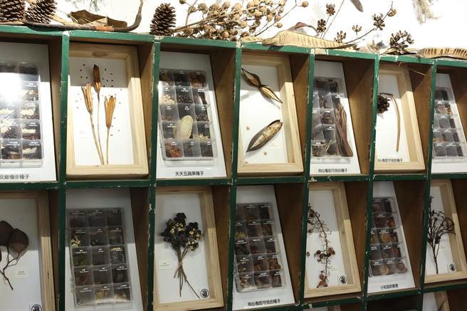 新竹市「移动的烟囱X进击的六燃」成果展即日起开展。（陈育贤摄）