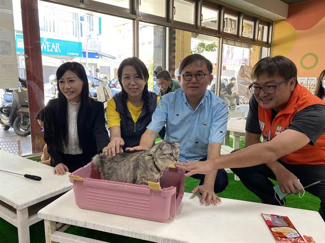 民进党籍台东县长参选人刘棹豪2日在竞选总部举办猫奴召集令活动，推宠物友善政策。（蔡旻妤摄）