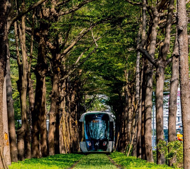 高雄轻轨通车路段将延伸至C24爱河之心站，其中一段「龙猫隧道」的美景已引起讨论。（图／翻摄自陈其迈脸书）