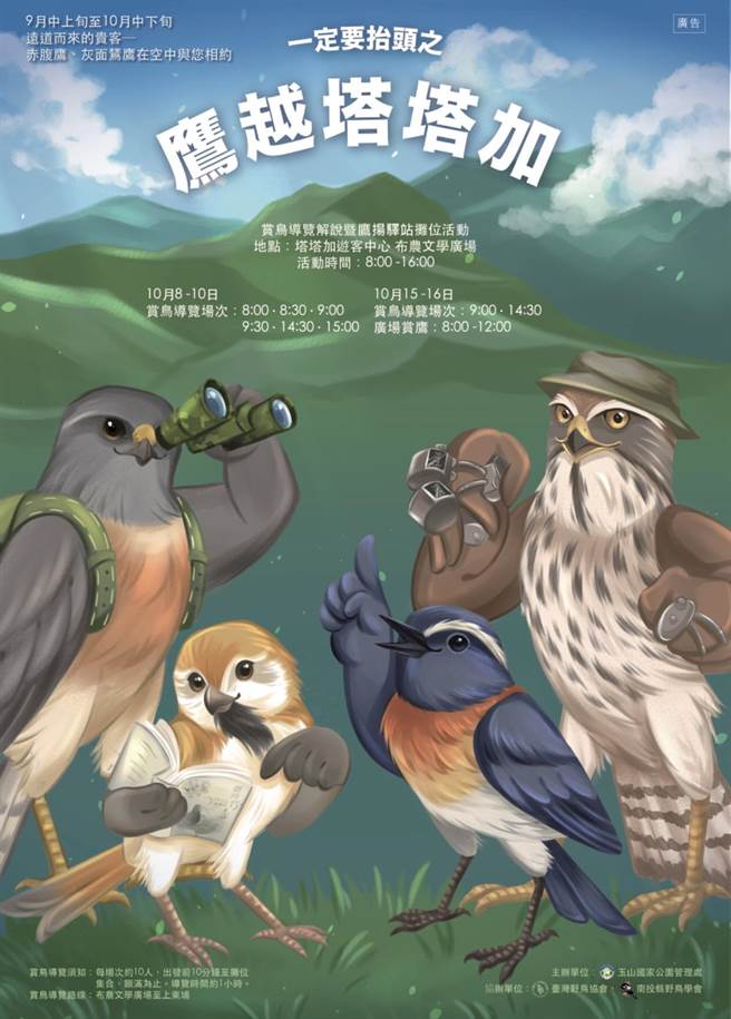 灰面鵟鹰塔塔加现踪，赏鸟、赏鹰体验趣。（玉管处提供／廖志晃南投传真）