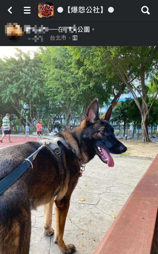 男子公園遛狗竟被質疑「沒戴嘴套」違規，對方看了法規被打臉後竟氣到要報警。（翻攝自臉書爆怨公社）