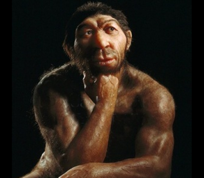 尼安德塔人的想像图。（图／自然科学博物馆）