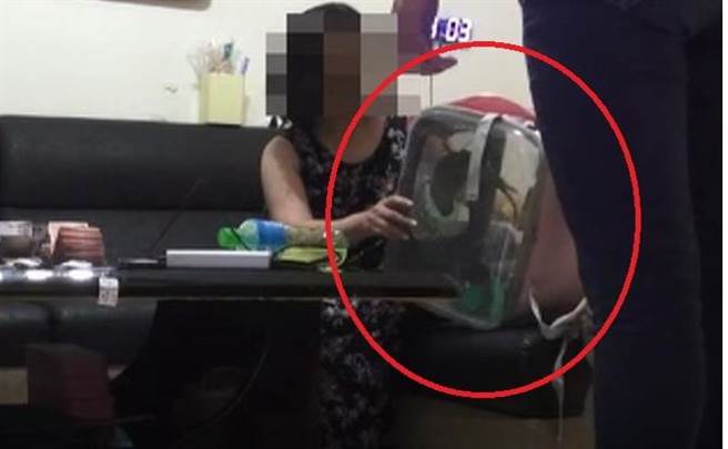 江姓毒販遭警方查獲，竟緊抱寵物鸚鵡哀求助安頓。（警方提供／陳淑芬台中傳真）