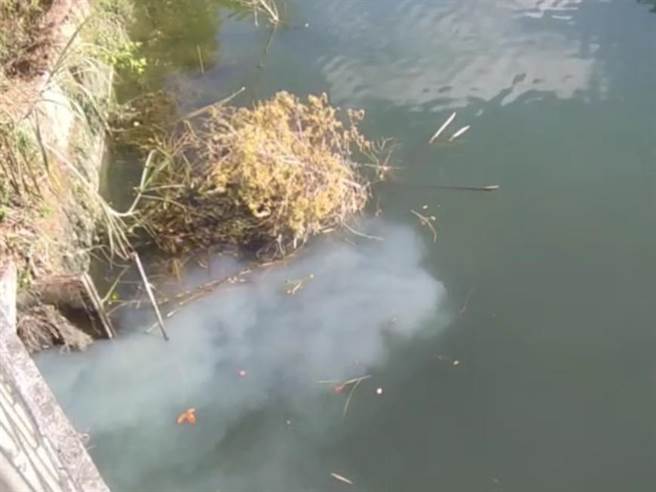 日月潭龙凤宫附近水域遭饭店业者偷排污水，碧绿湖水被白浊污水染成「牛奶湖」。资料照片