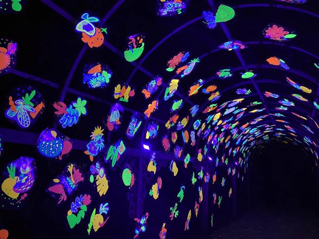 台東縣政府辦理首屆「台東光祭」作品，15日點亮知本溫泉區。（台東縣政府提供）