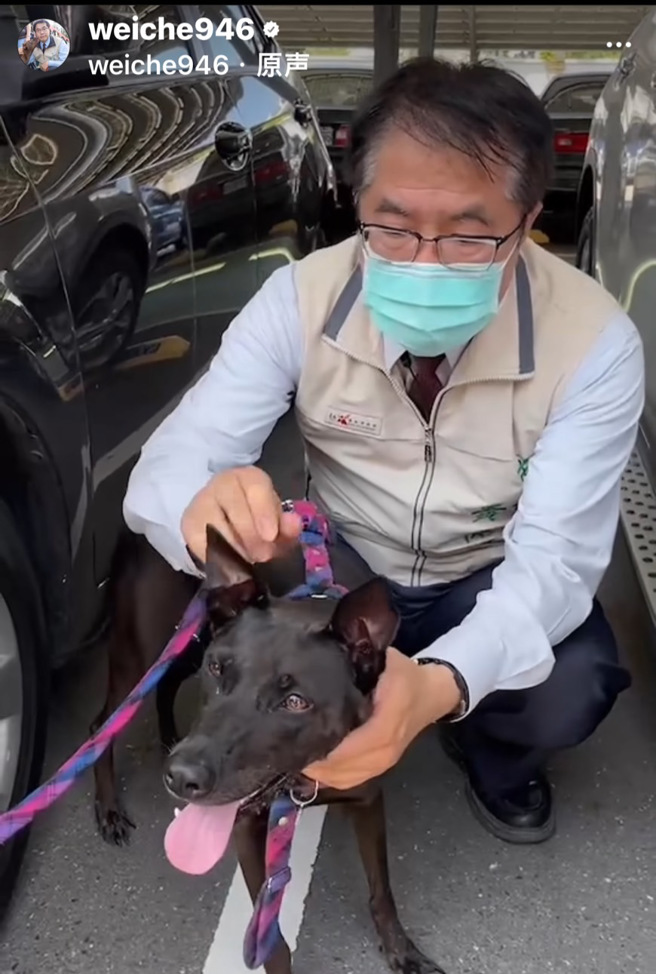 黄伟哲在世界黑狗日当天，在个人IG平台po出一则他跟爱犬妞妞的影片，意外引来艺人米可白的留言。(翻摄自黄伟哲IG)