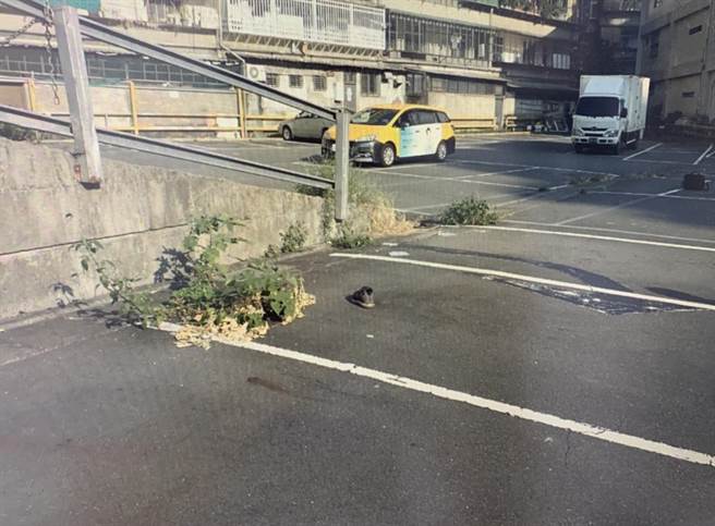 新店80岁老翁停车场内倒地身亡。（警方提供／李奇叡新北传真）