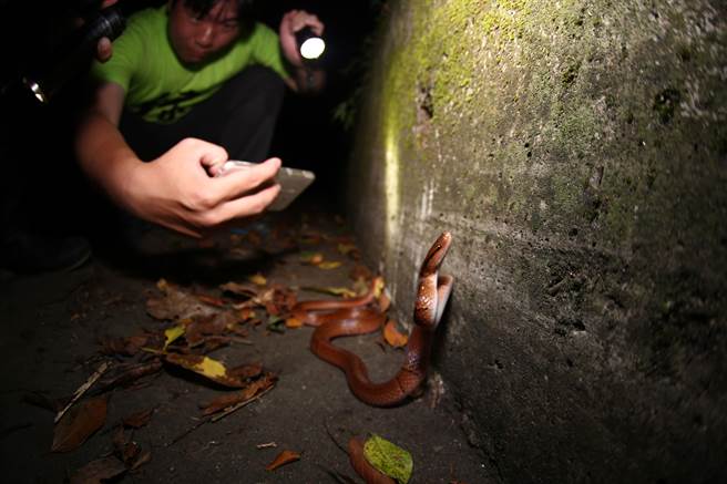 缺乏资料的地方，尚需公民科学的力量协助补资料。（特生中心提供）
