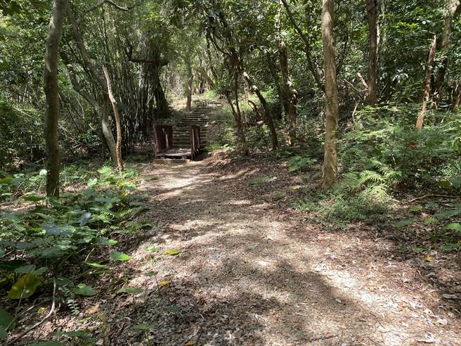 郑家后代无偿提供约6公顷林地，由市府打造郑大模纪念植物园生态步道。（蔡明亘摄）