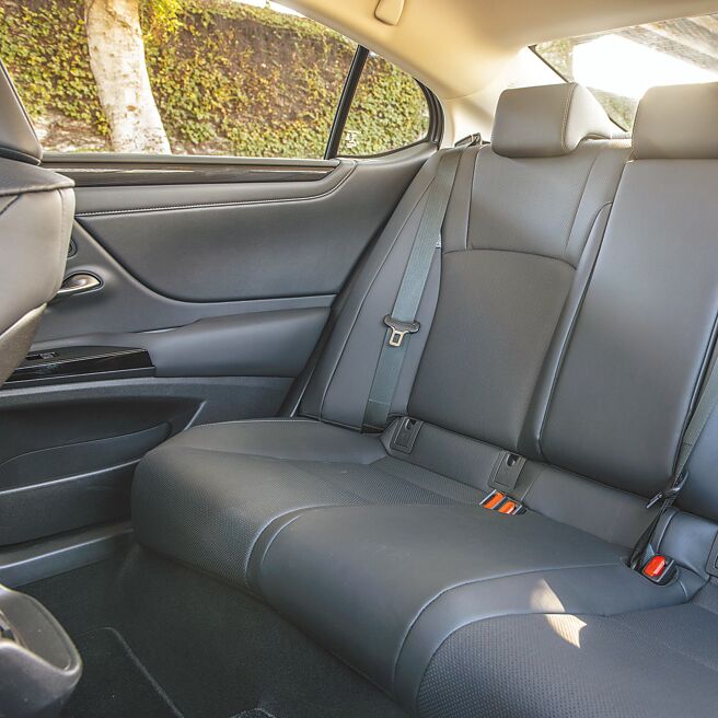 Nuluxe豪华皮椅。（陈大任摄）