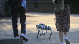 陸流行帶機械狗散步吸引眼球 可負重自動跟隨協助取快遞