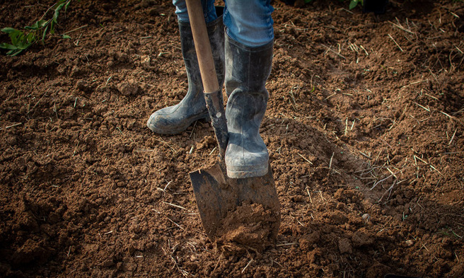 儿子19年毫无音讯，父母再发现他的时候，已死亡多年。（示意图／Shutterstock）