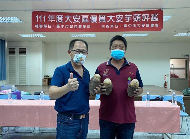大安区农会6日举行优质芋头评鑑比赛，芋农卓国章(右)荣登今年芋头王。（大安农会提供／陈淑娥台中传真）