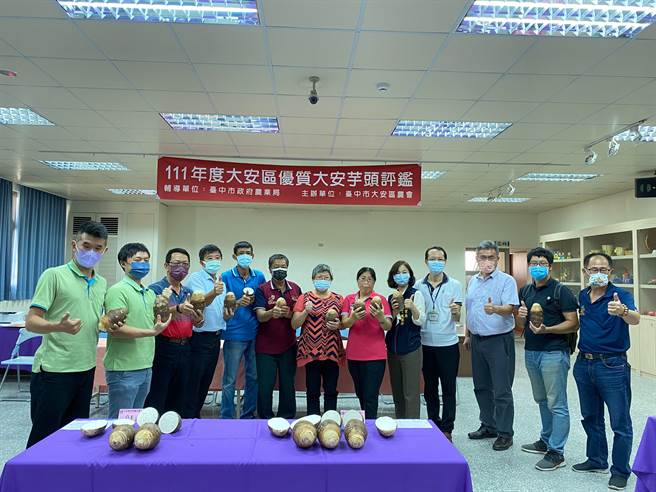 大安区农会6日举行优质芋头评鑑比赛，奖金相当丰富。（大安农会提供／陈淑娥台中传真）