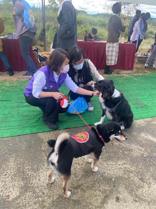 长期关切动保权益的议员张美慧表示，喜见动权益通过，对花莲友善动物城市，迈进一大步。（张美慧提供）