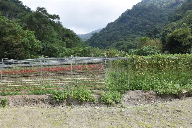 新的「汶水汤元」背山面水，占地达5公顷。（谢明俊摄）