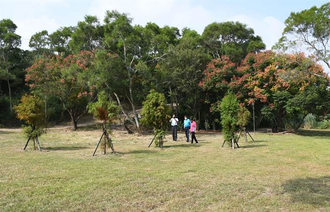 「香山步道。东方公园」1800坪绿草如茵的大草原，适合野餐、亲子游憩游玩。（吴敏菁摄）