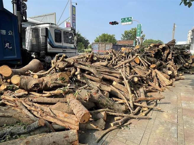 刘厝公园400年老榕树遭砍除切块。（刘厝社区发展协会脸书／廖素慧嘉市传真）